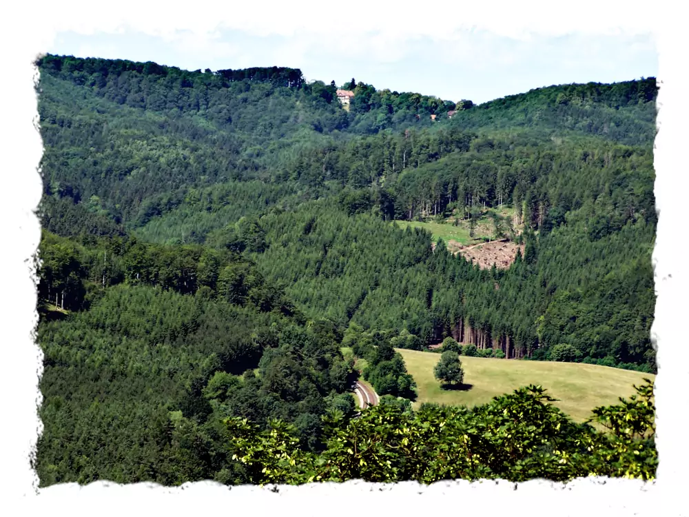 Thüringer Wald bei Eisenach, der Aufstieg zum Clausberg, Blick von der Wartburg