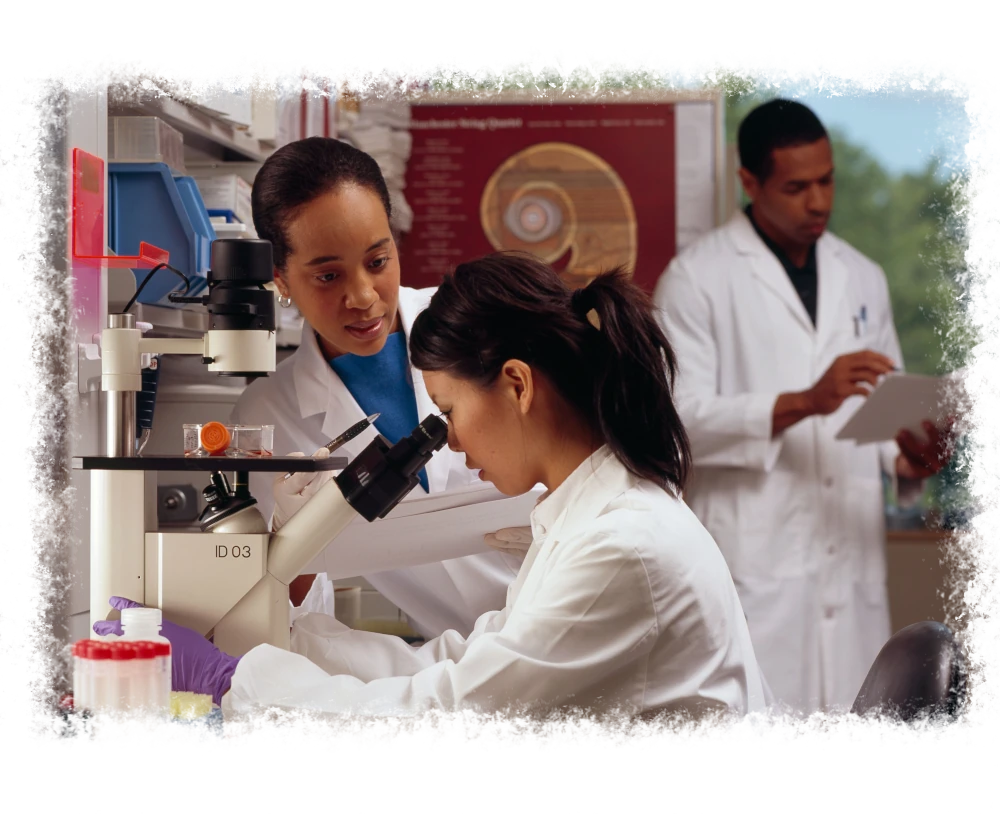 Hypnose für den Bauch – Was sagt die Wissenschaft?