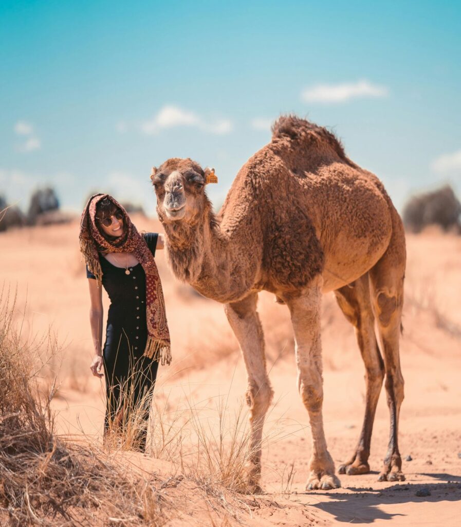 Eine Person, die Sonnenbrille und ein Tuch um den Kopf und ein schwarzes Kleid trägt, steht neben einem Kamel und sieht dieses an. Das Kamel sieht in die Kamera. Die Landschaft im Hintergrund sieht nach Steppe aus. Der Himml ist blau.