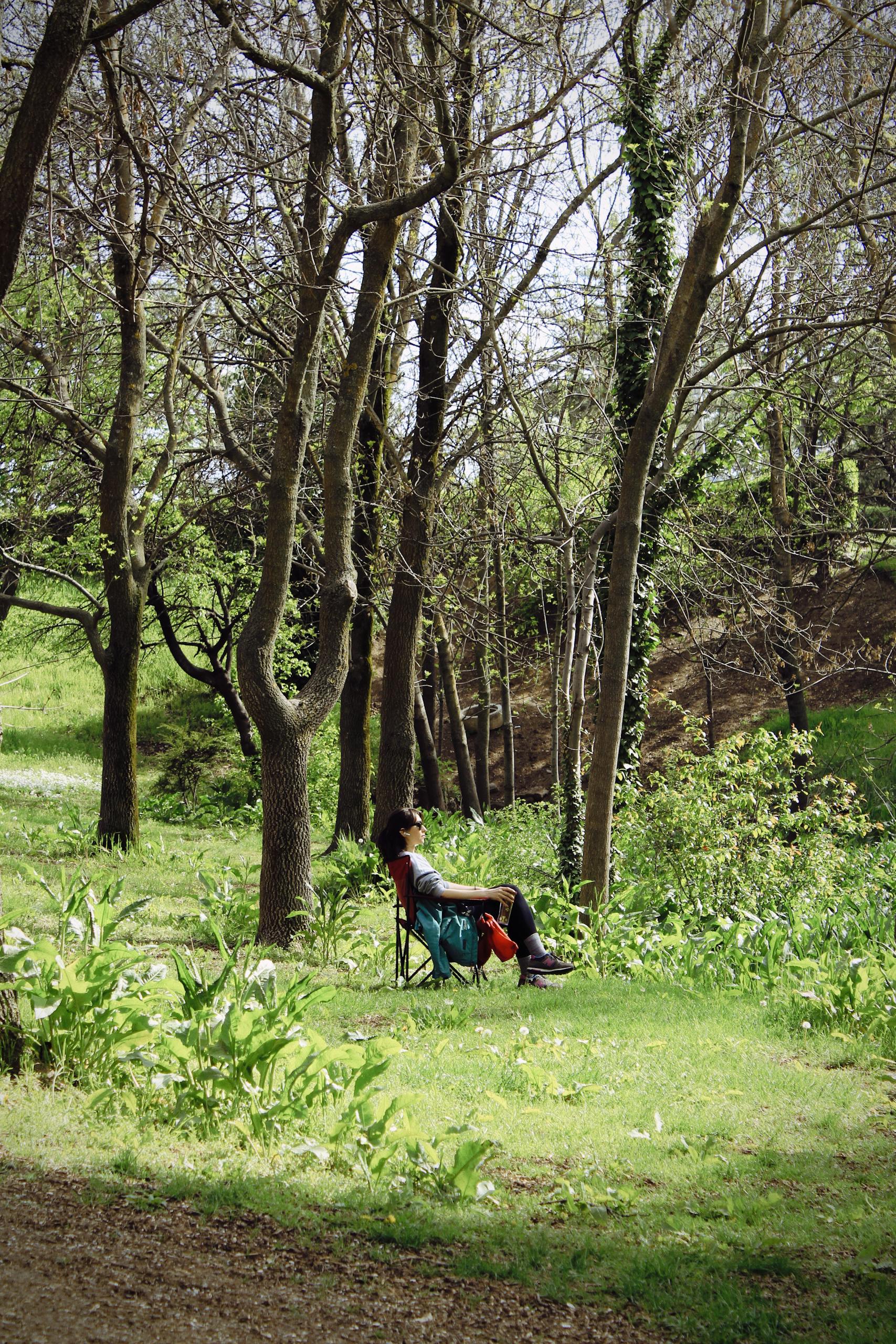 A person relaxes in a forest, enjoying the serenity of nature and open green space.
