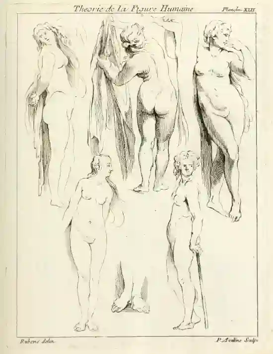 „Théorie de la figure humaine” (Paris 1773) - Die Zeichnungen und Texte werden Rubens zugeschrieben.